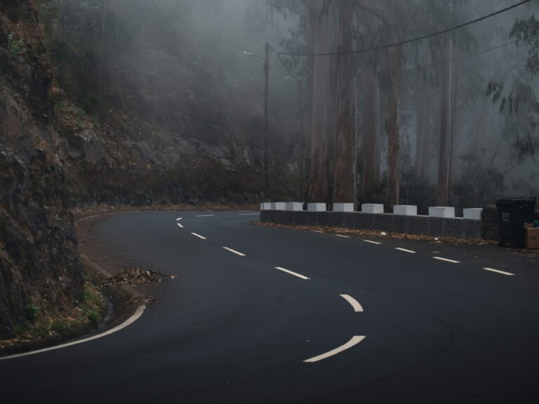 Foggy pine forest and rural highway representing the terrain in the James Wiggins missing case.