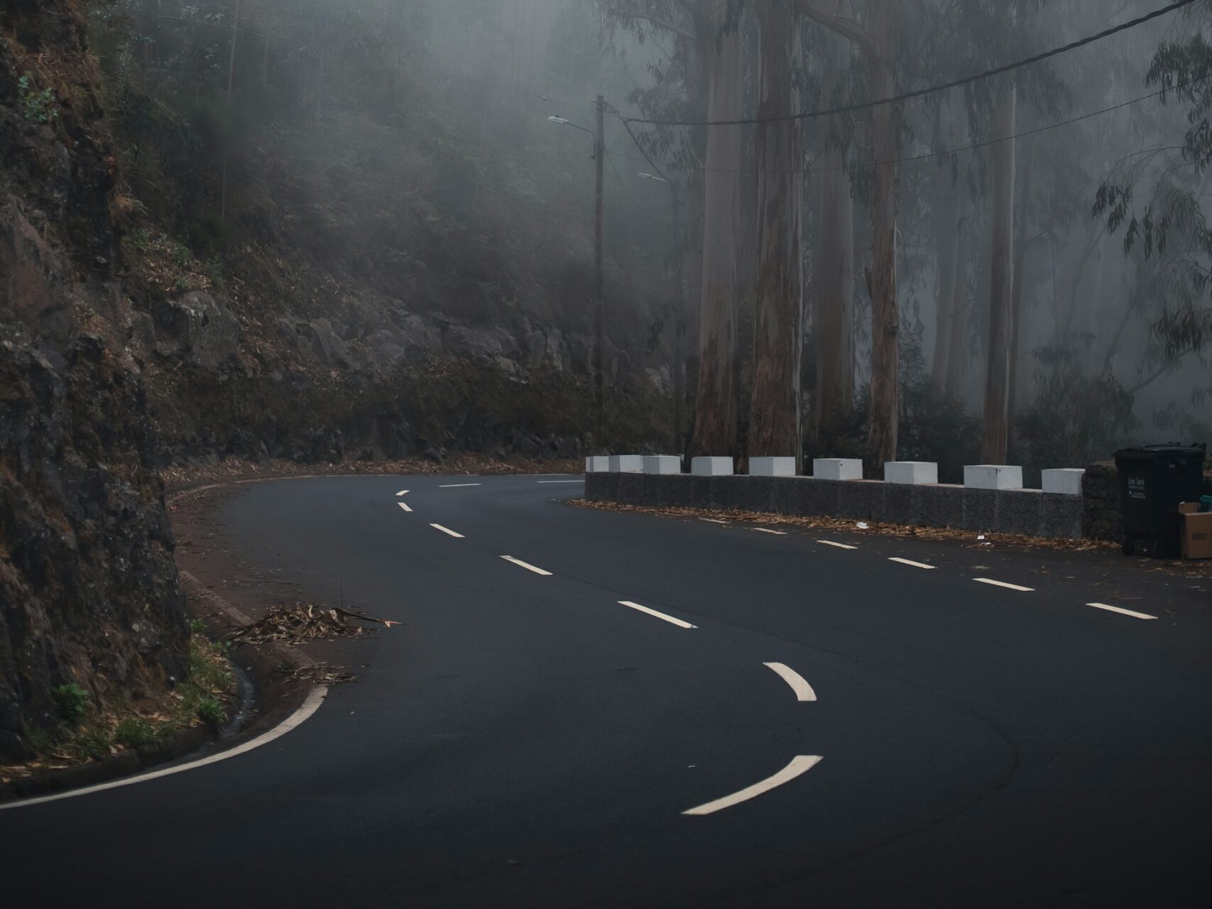 Foggy pine forest and rural highway representing the terrain in the James Wiggins missing case.